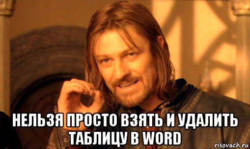  нельзя просто взять и удалить таблицу в word, Мем Нельзя просто так взять и (Боромир мем)