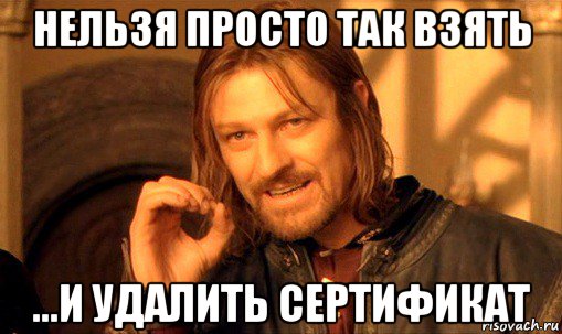 нельзя просто так взять ...и удалить сертификат, Мем Нельзя просто так взять и (Боромир мем)