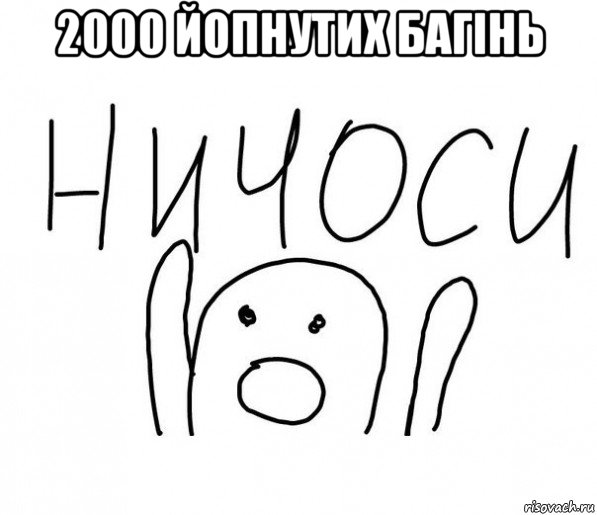 2000 йопнутих багiнь , Мем  Ничоси