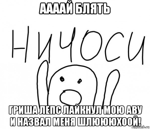 аааай блять гриша лепс лайкнул мою аву и назвал меня шлюююхоой!, Мем  Ничоси