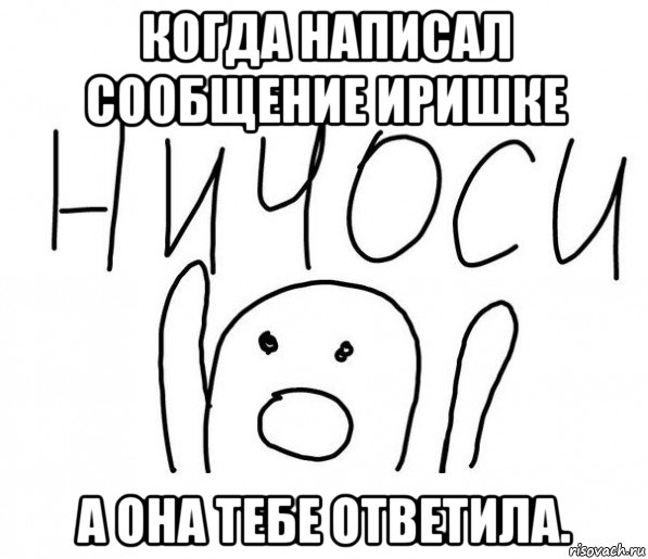 когда написал сообщение иришке а она тебе ответила., Мем  Ничоси