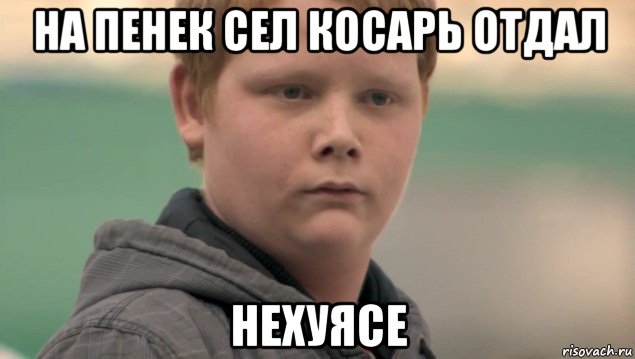 на пенек сел косарь отдал нехуясе, Мем    нифигасе