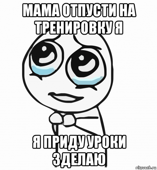 мама отпусти на тренировку я я приду уроки зделаю, Мем  ну пожалуйста (please)