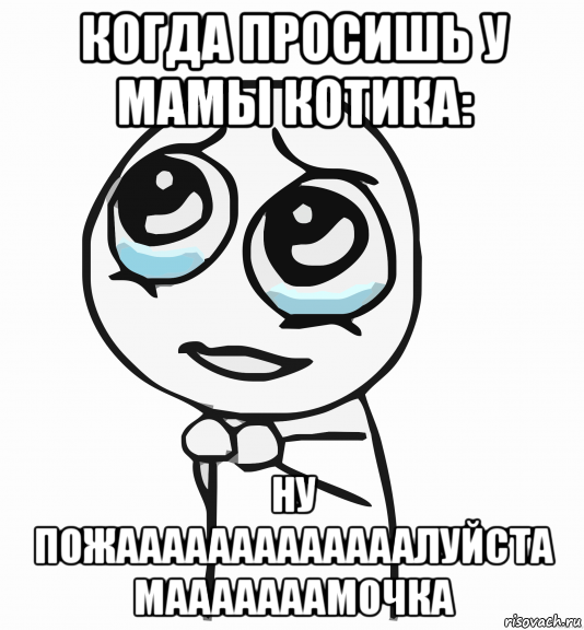 когда просишь у мамы котика: ну пожааааааааааааалуйста мааааааамочка, Мем  ну пожалуйста (please)