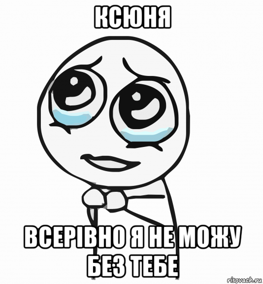 ксюня всерівно я не можу без тебе, Мем  ну пожалуйста (please)