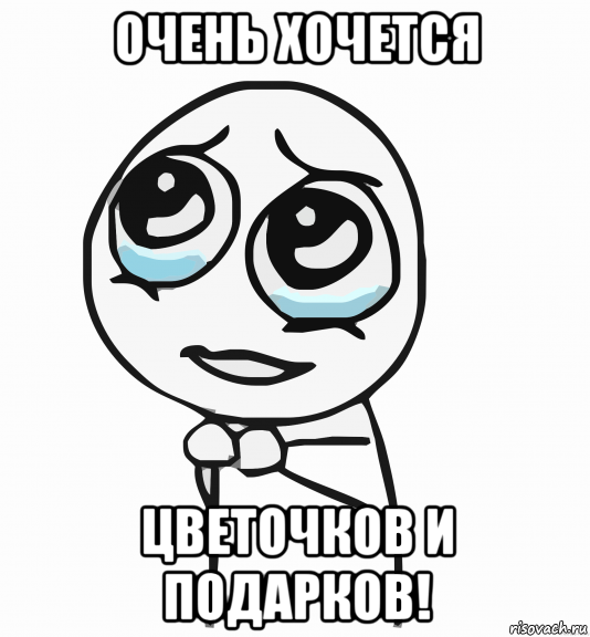 очень хочется цветочков и подарков!, Мем  ну пожалуйста (please)