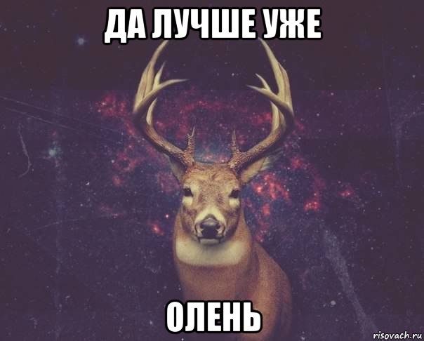 да лучше уже олень, Мем  олень наивный