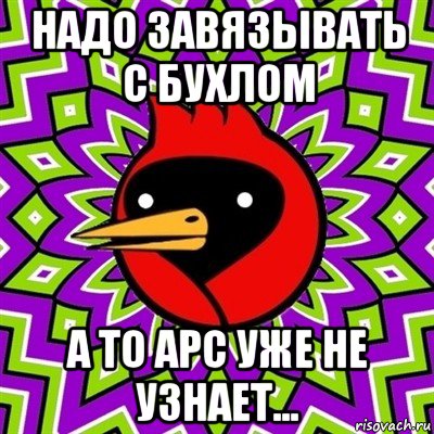 надо завязывать с бухлом а то арс уже не узнает..., Мем Омская птица