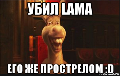 убил lama его же прострелом :d, Мем Осел из Шрека