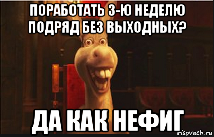 поработать 3-ю неделю подряд без выходных? да как нефиг, Мем Осел из Шрека