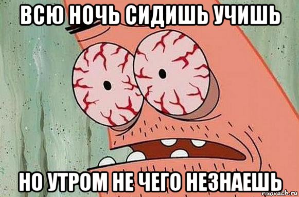 всю ночь сидишь учишь но утром не чего незнаешь