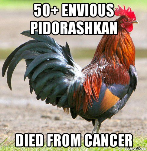 50+ envious pidorashkan died from cancer, Мем петух