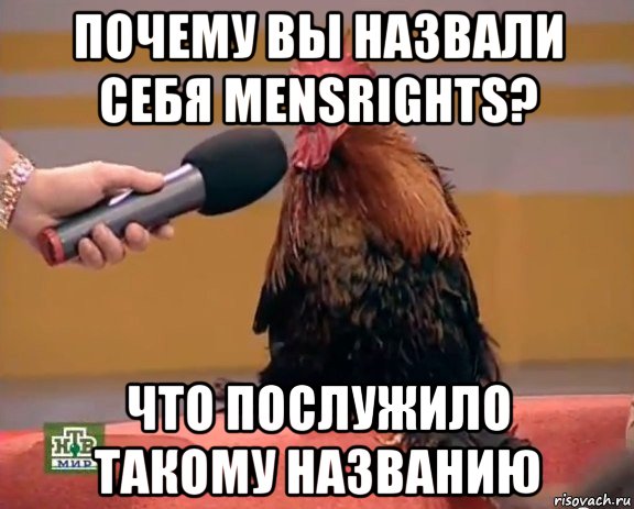 почему вы назвали себя mensrights? что послужило такому названию