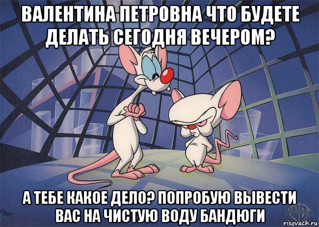 валентина петровна что будете делать сегодня вечером? а тебе какое дело? попробую вывести вас на чистую воду бандюги