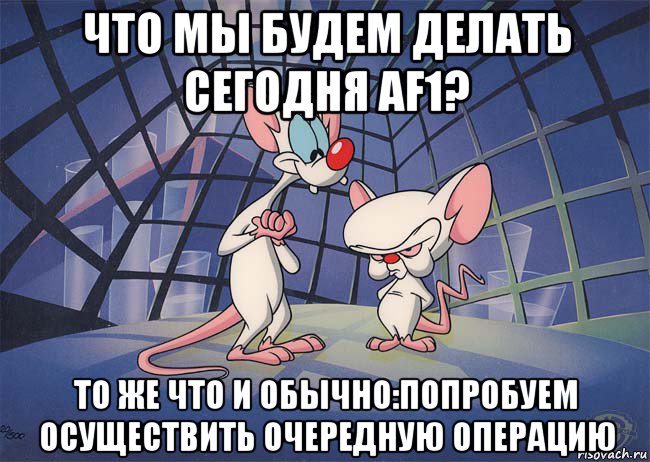 что мы будем делать сегодня af1? то же что и обычно:попробуем осуществить очередную операцию, Мем ПИНКИ И БРЕЙН