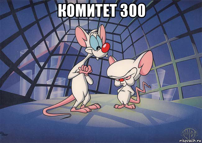 комитет 300 , Мем ПИНКИ И БРЕЙН