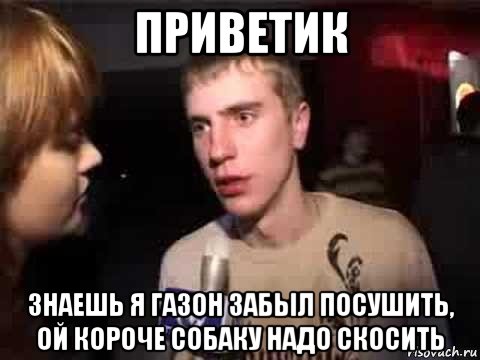 приветик знаешь я газон забыл посушить, ой короче собаку надо скосить, Мем Плохая музыка