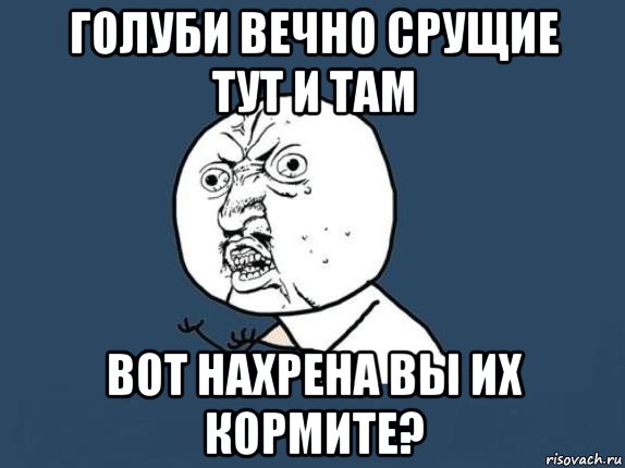 голуби вечно срущие тут и там вот нахрена вы их кормите?, Мем  почему мем