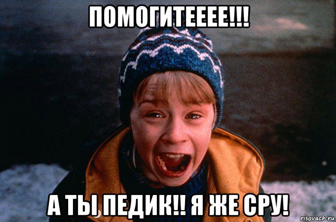 помогитееее!!! а ты педик!! я же сру!, Мем Один дома орет