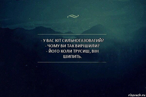 - У Вас кіт сильногазовагий?
- Чому ви так вирішили?
- Його коли трусиш, він шипить.