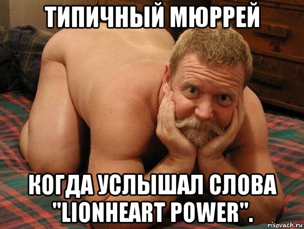 типичный мюррей когда услышал слова "lionheart power"., Мем прив че делаешь