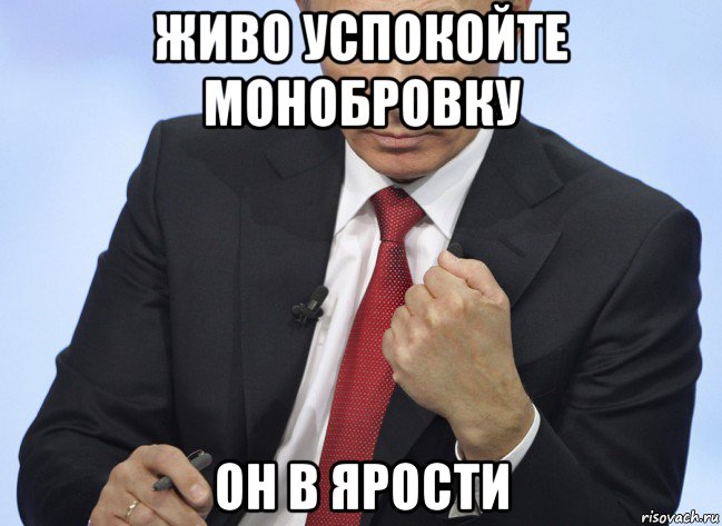 живо успокойте монобровку он в ярости, Мем Путин показывает кулак