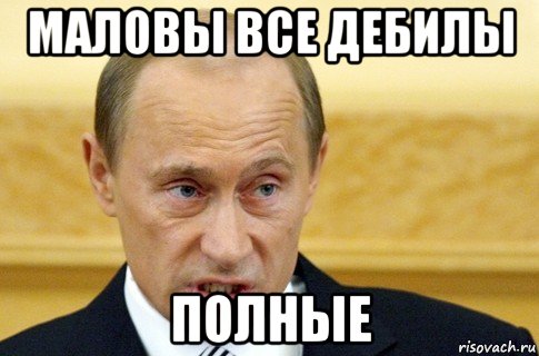 маловы все дебилы полные, Мем путин