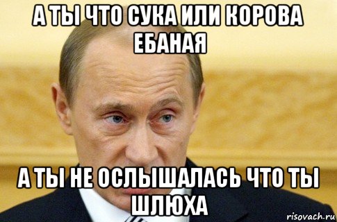 а ты что сука или корова ебаная а ты не ослышалась что ты шлюха, Мем путин