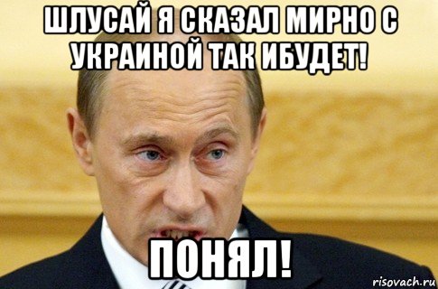 шлусай я сказал мирно с украиной так ибудет! понял!, Мем путин