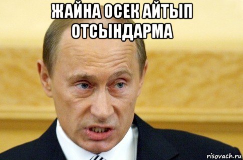 жайна осек айтып отсындарма , Мем путин