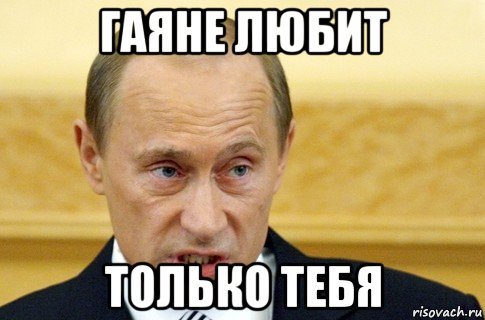 гаяне любит только тебя, Мем путин