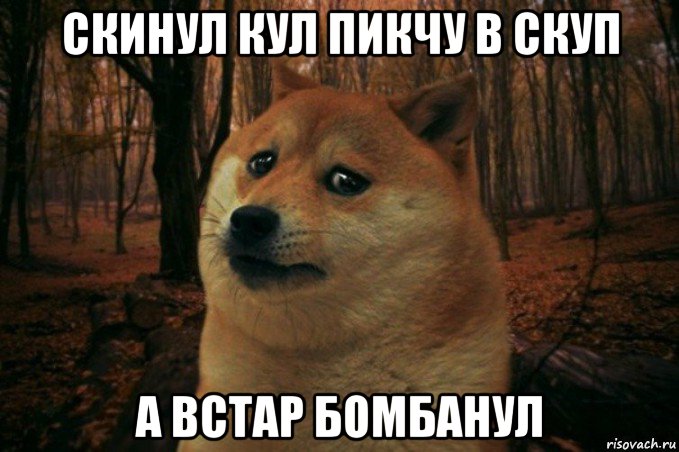 скинул кул пикчу в скуп а встар бомбанул, Мем SAD DOGE