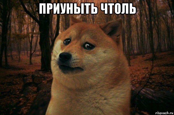 приуныть чтоль , Мем SAD DOGE