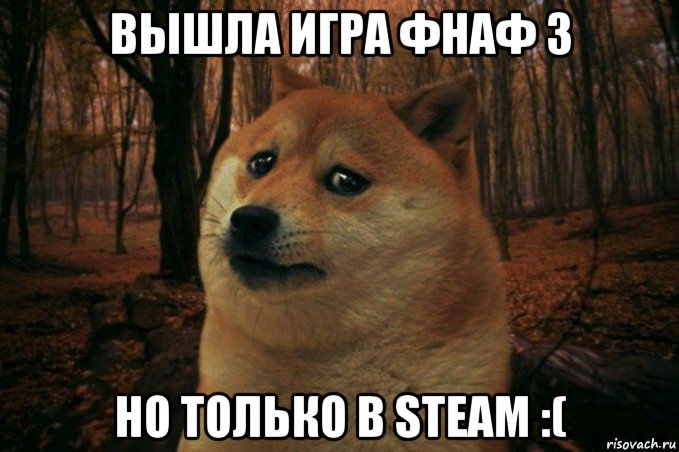 вышла игра фнаф 3 но только в steam :(, Мем SAD DOGE