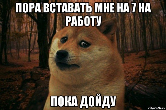 пора вставать мне на 7 на работу пока дойду, Мем SAD DOGE