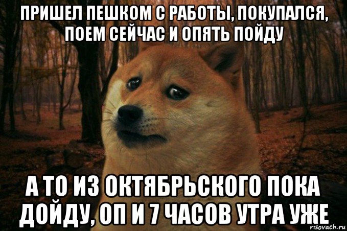 пришел пешком с работы, покупался, поем сейчас и опять пойду а то из октябрьского пока дойду, оп и 7 часов утра уже, Мем SAD DOGE