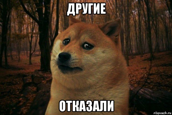 другие отказали, Мем SAD DOGE