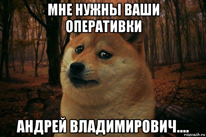 мне нужны ваши оперативки андрей владимирович...., Мем SAD DOGE