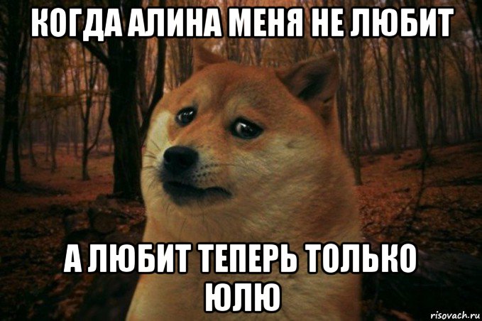 когда алина меня не любит а любит теперь только юлю, Мем SAD DOGE