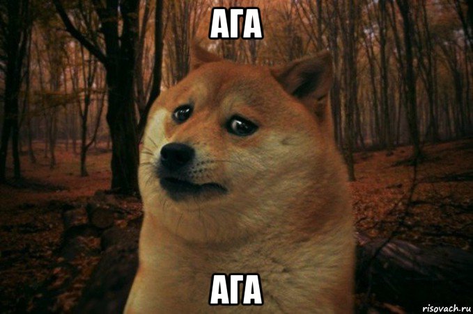 ага ага, Мем SAD DOGE