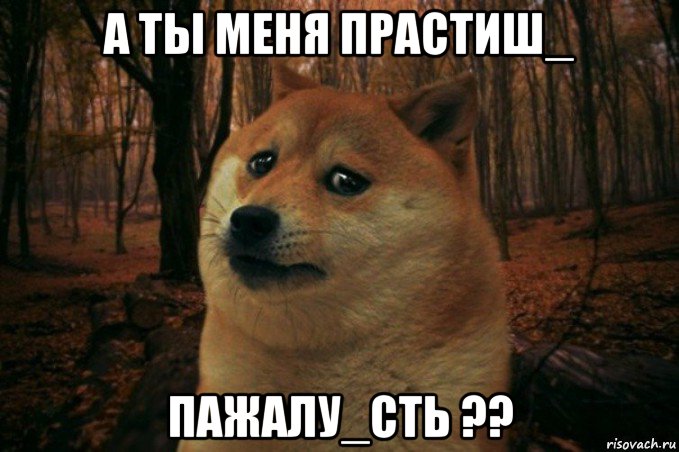 а ты меня прастиш_ пажалу_сть ??, Мем SAD DOGE