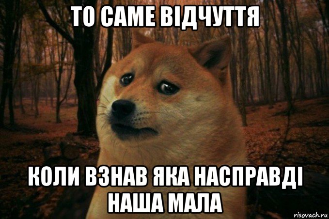 то саме відчуття коли взнав яка насправді наша мала, Мем SAD DOGE