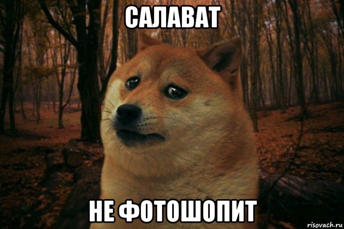 салават не фотошопит, Мем SAD DOGE