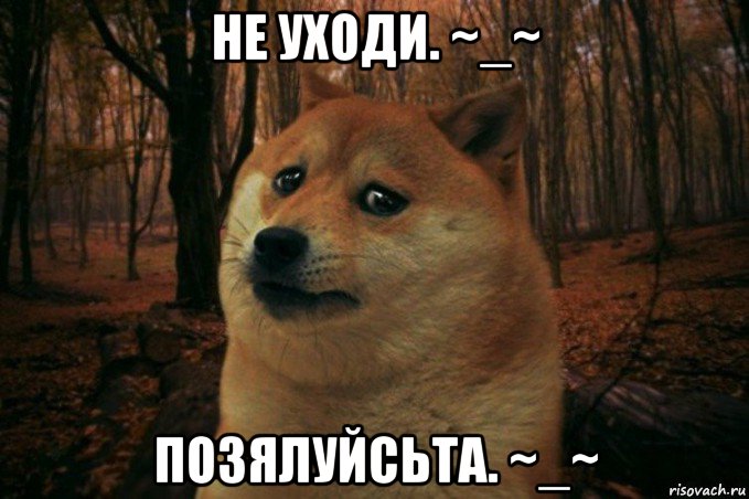 не уходи. ~_~ позялуйсьта. ~_~, Мем SAD DOGE