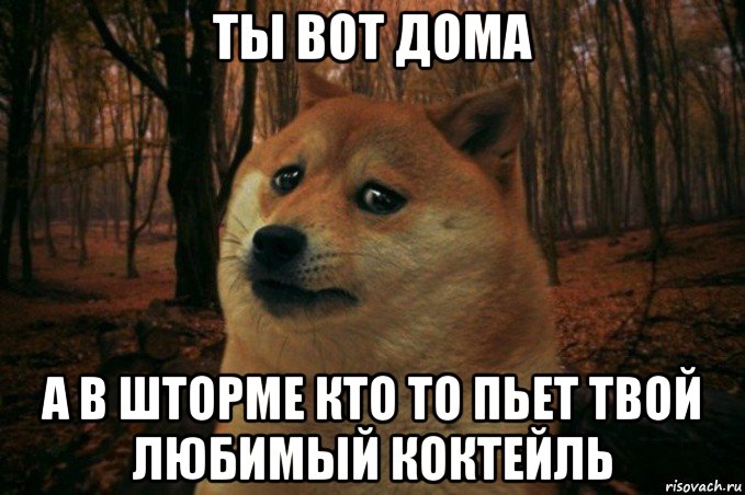 ты вот дома а в шторме кто то пьет твой любимый коктейль, Мем SAD DOGE