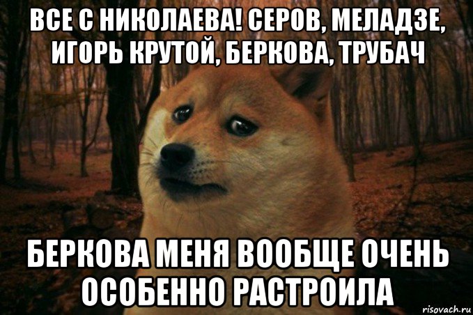 все с николаева! серов, меладзе, игорь крутой, беркова, трубач беркова меня вообще очень особенно растроила, Мем SAD DOGE