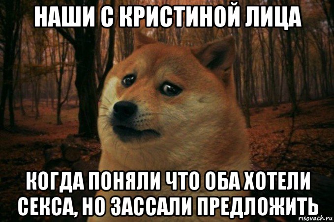 наши с кристиной лица когда поняли что оба хотели секса, но зассали предложить, Мем SAD DOGE