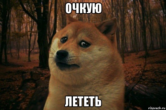 очкую лететь, Мем SAD DOGE