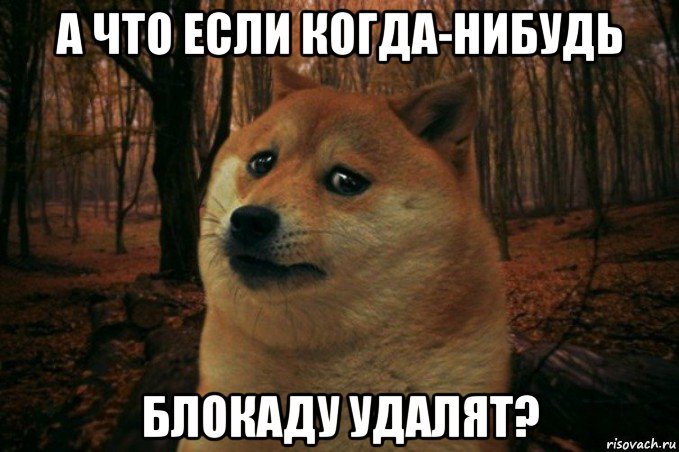 а что если когда-нибудь блокаду удалят?, Мем SAD DOGE