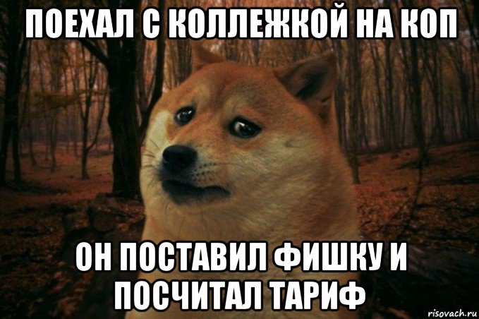 поехал с коллежкой на коп он поставил фишку и посчитал тариф, Мем SAD DOGE